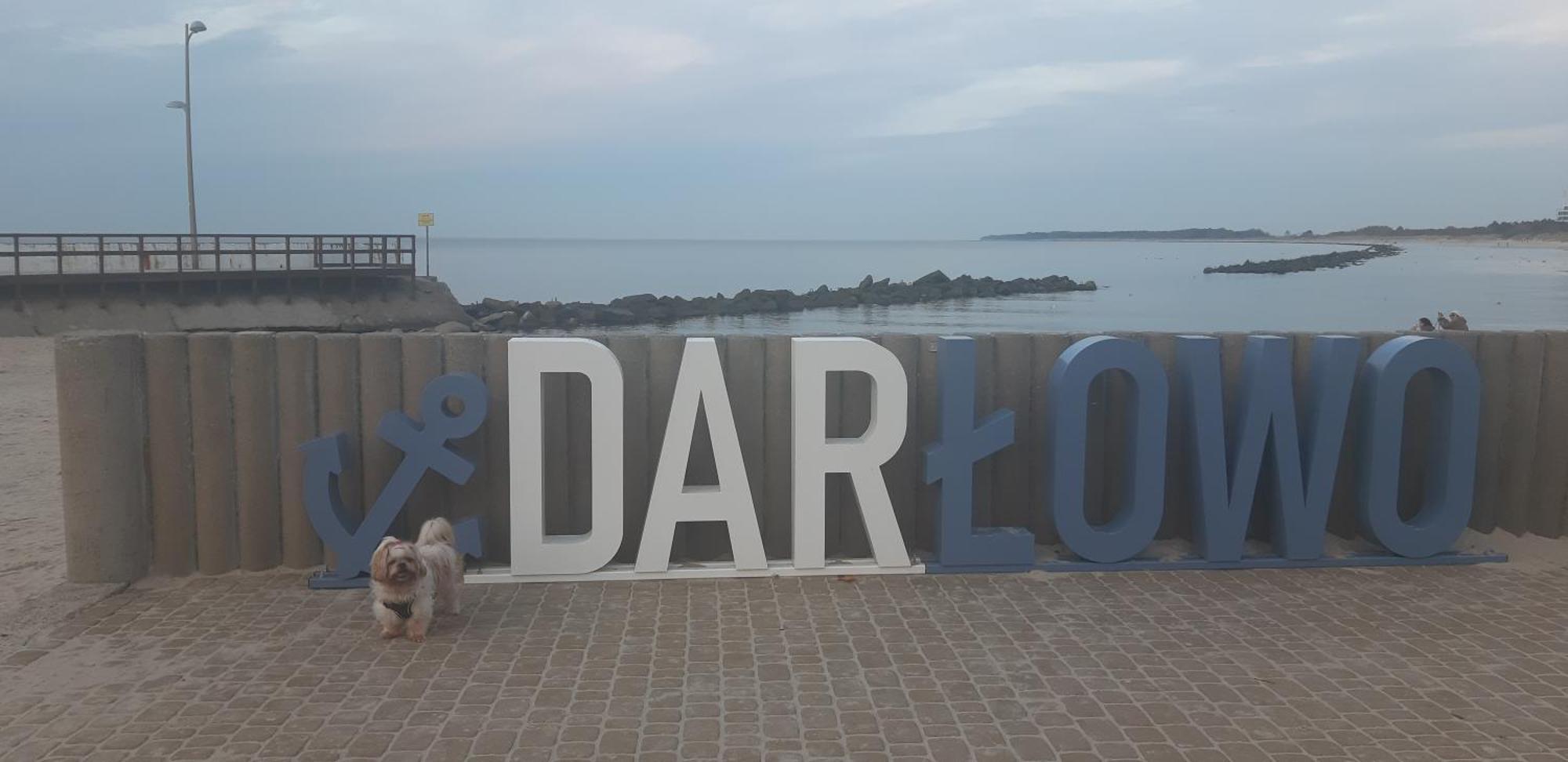 Pokoje Goscinne Galeon W Darlowku Ujście-Darłowskie Εξωτερικό φωτογραφία